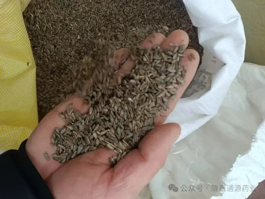 2026年4月13市场快讯