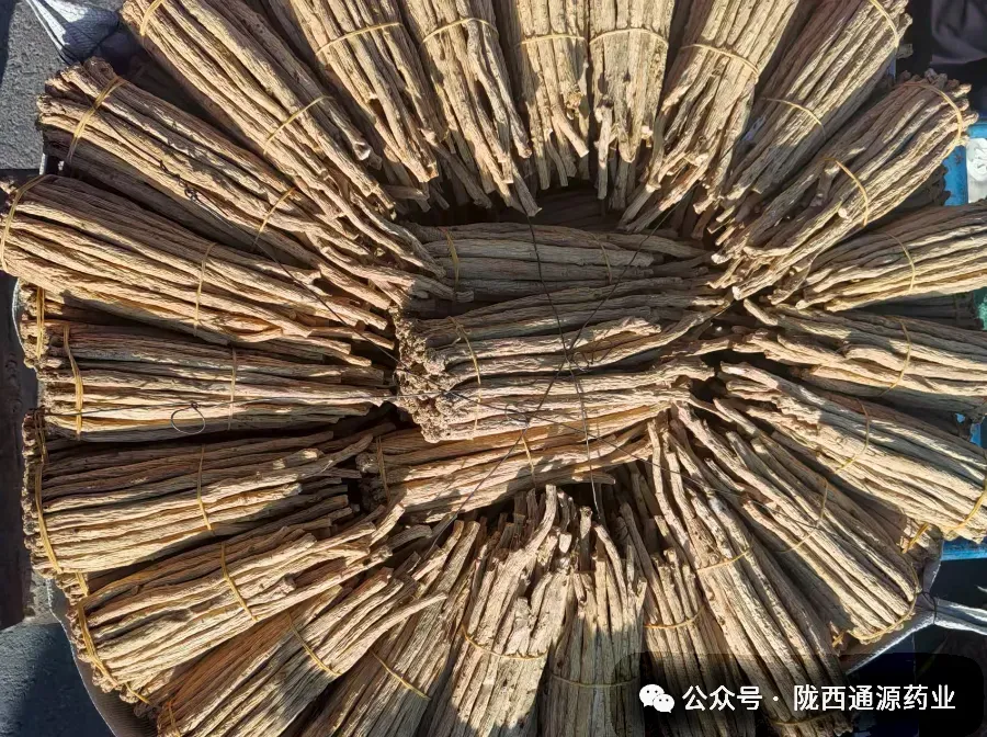 2026年4月13市场快讯