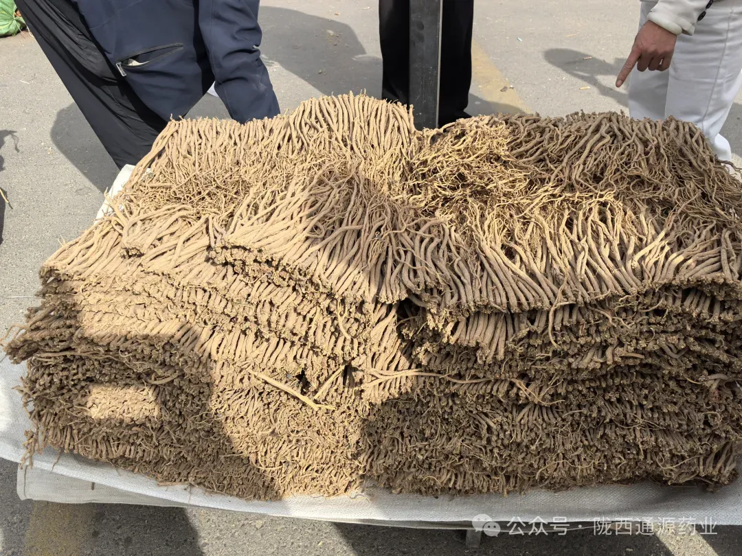 2026年4月13市场快讯