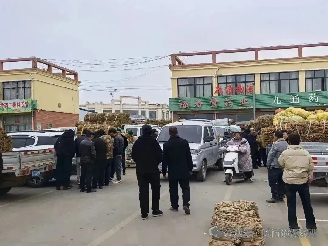 2026年4月13市场快讯