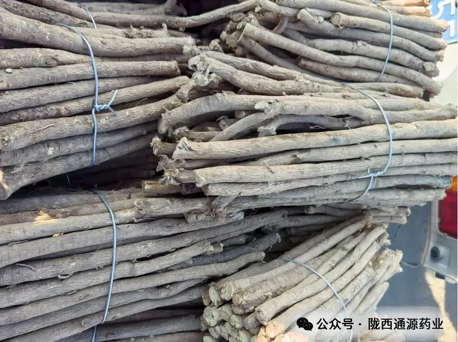 2026年4月13市场快讯