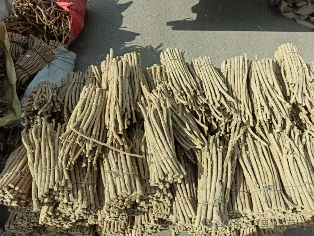 2026年4月13市场快讯