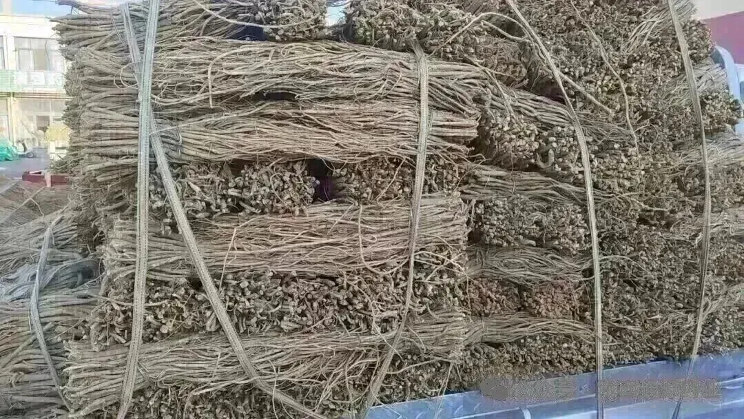 2026年4月13市场快讯