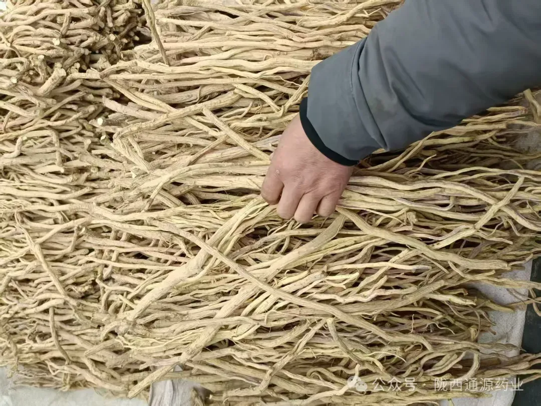 2026年4月13市场快讯