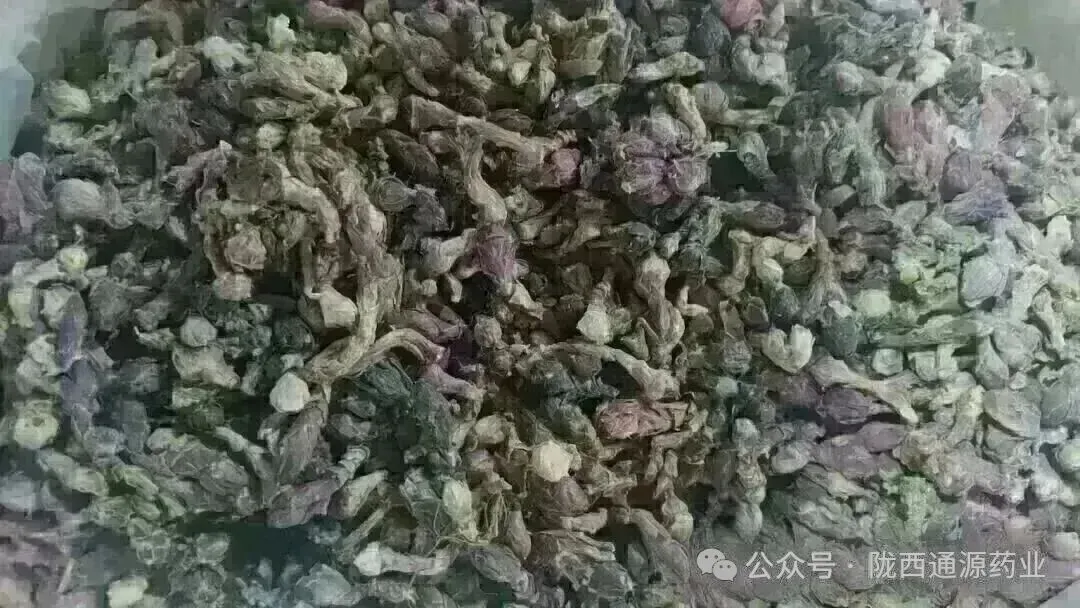 2026年4月13市场快讯