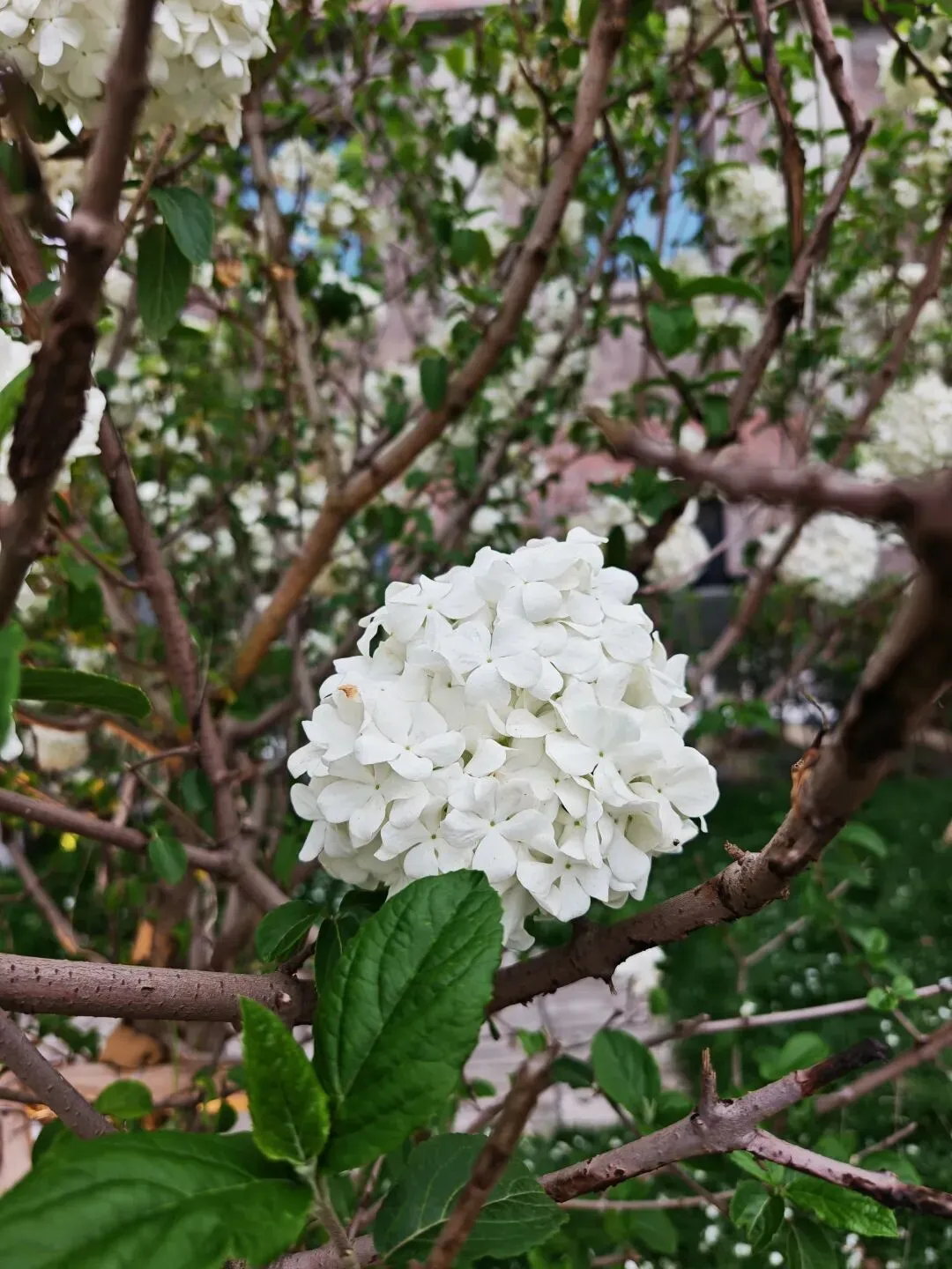 算法和营销策略到底怎么精准拿捏我的?让我几分钟就剁手下单…