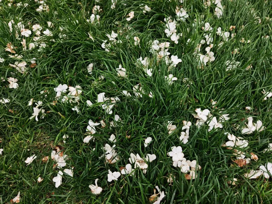 算法和营销策略到底怎么精准拿捏我的?让我几分钟就剁手下单…