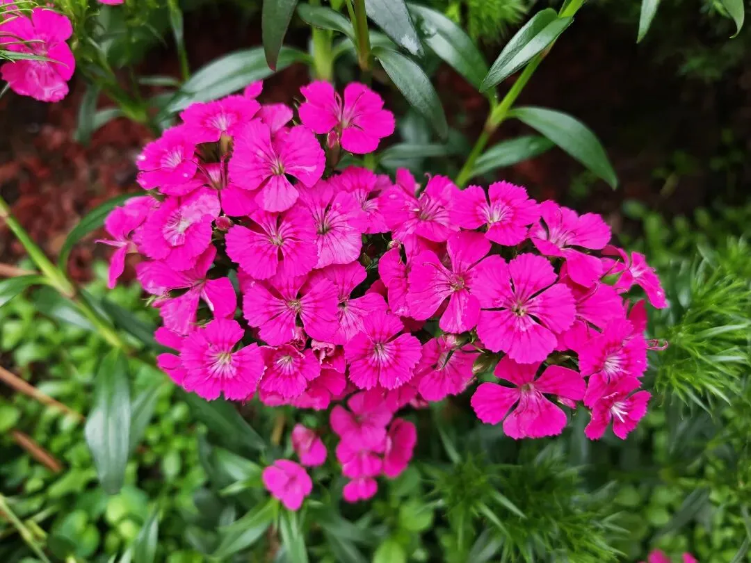 算法和营销策略到底怎么精准拿捏我的?让我几分钟就剁手下单…