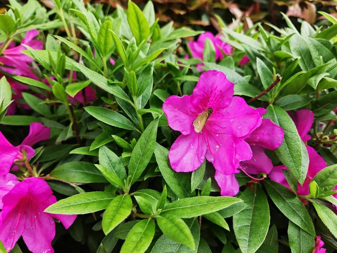 算法和营销策略到底怎么精准拿捏我的?让我几分钟就剁手下单…