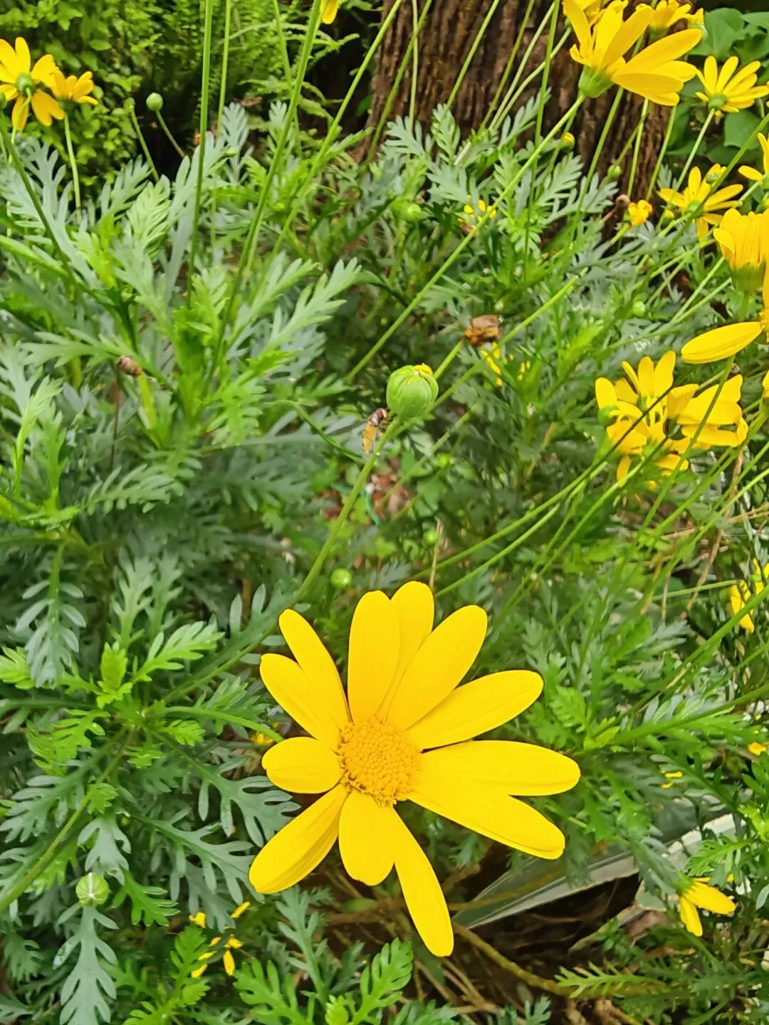 算法和营销策略到底怎么精准拿捏我的?让我几分钟就剁手下单…