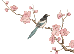 这些年,我没输给市场,是输给了人