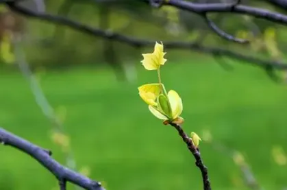 【干货】渥太华2026年3月房市【整体市场】数据浅析