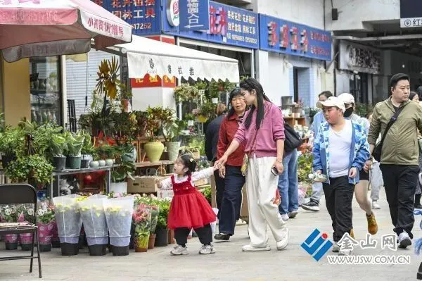花鸟市场春花热销