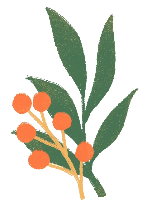 变可爱了!方庄市场从“菜篮子”到“生活圈”的更新之路