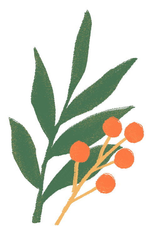 变可爱了!方庄市场从“菜篮子”到“生活圈”的更新之路