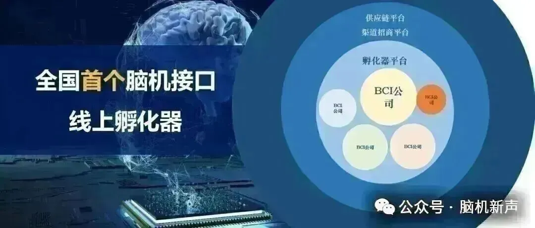 14期线上沙龙预告|脑机接口睡眠市场前瞻