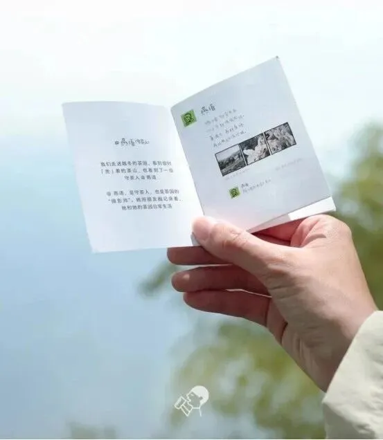 一周案例|2026春日营销怎么做?盘点5个案例,品牌们的“春心”藏不住了!