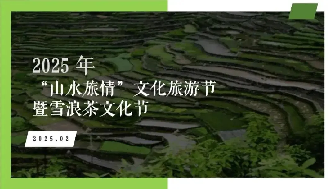 营销圈又出神级案例:千年贡茶+非遗+直播,好牛