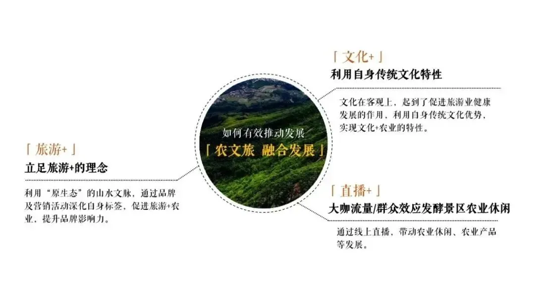 营销圈又出神级案例:千年贡茶+非遗+直播,好牛