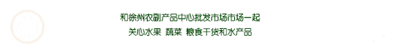 专业赋能,重塑流通配送新生态–七里沟市场为您解锁物流配送理想方案