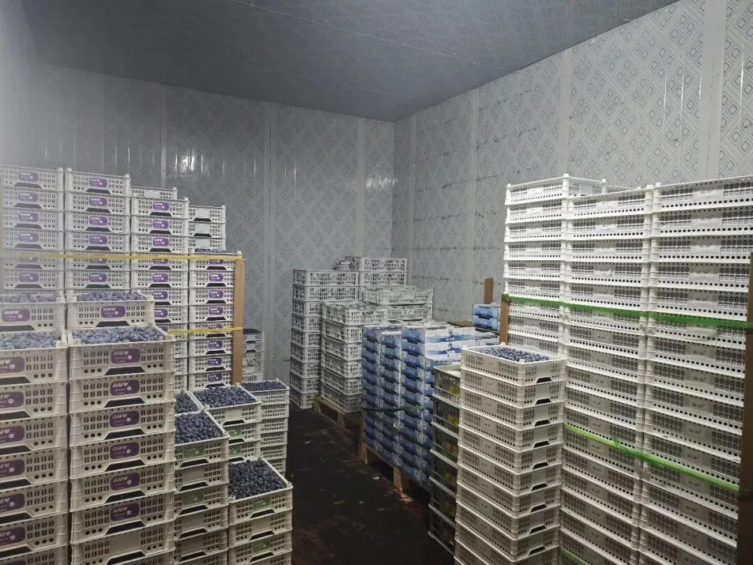 专业赋能,重塑流通配送新生态–七里沟市场为您解锁物流配送理想方案