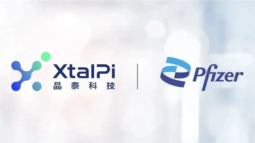 AI制药第一股—晶泰科技终于赚钱了,但市场为什么不买账?