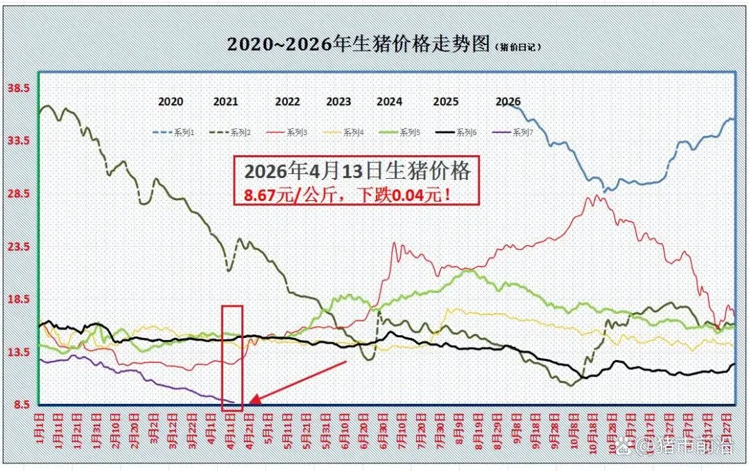 ①生猪市场大揭秘:现状、困境与未来展望②猪价拐点何时出现?③国际食品展清真食品成亮点④预计将重新评估巴西牛肉输华配额