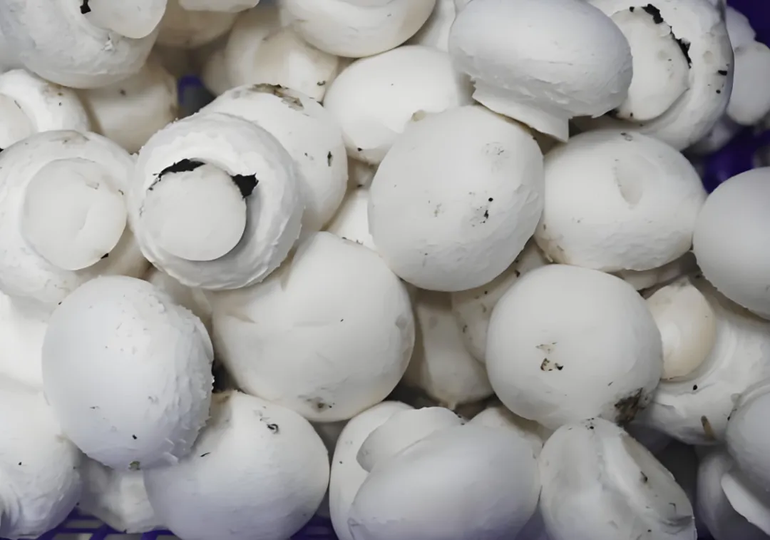 看完你还敢买吗?市场员工透露,这“6种”蔬菜,暗藏“科技与狠活”