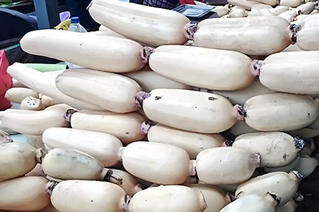 看完你还敢买吗?市场员工透露,这“6种”蔬菜,暗藏“科技与狠活”