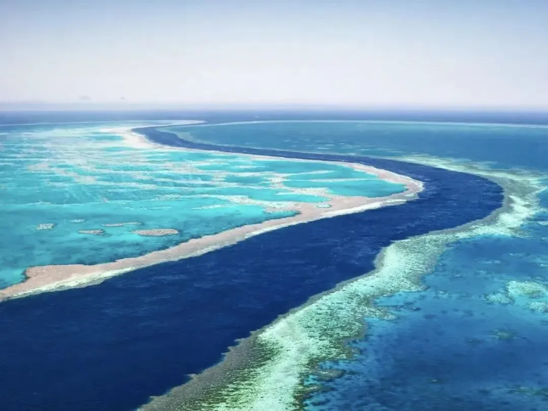 为什么很多中国制造企业进入澳大利亚市场,第一步不是卖产品?