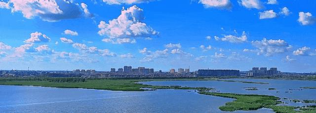 我县猪肉价格“亲民” 市场购销两旺暖意浓