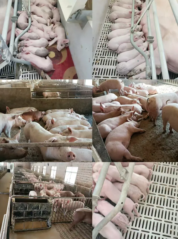 【围场县零工市场】4月13日招聘信息