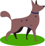 就在本周日,招募小摊主!一起逛跳蚤市场