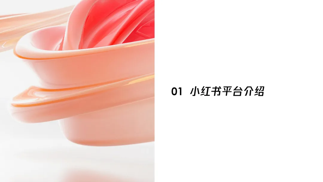 VIVO 小红书营销分析案