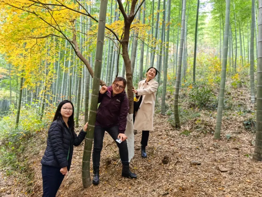 检测营销三十六计