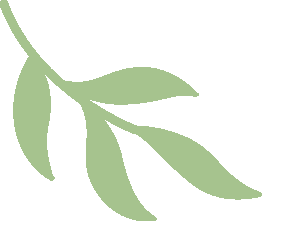 工商管理学院心连心对话成长困惑22营销2班(Z)班导师见面会圆满举行