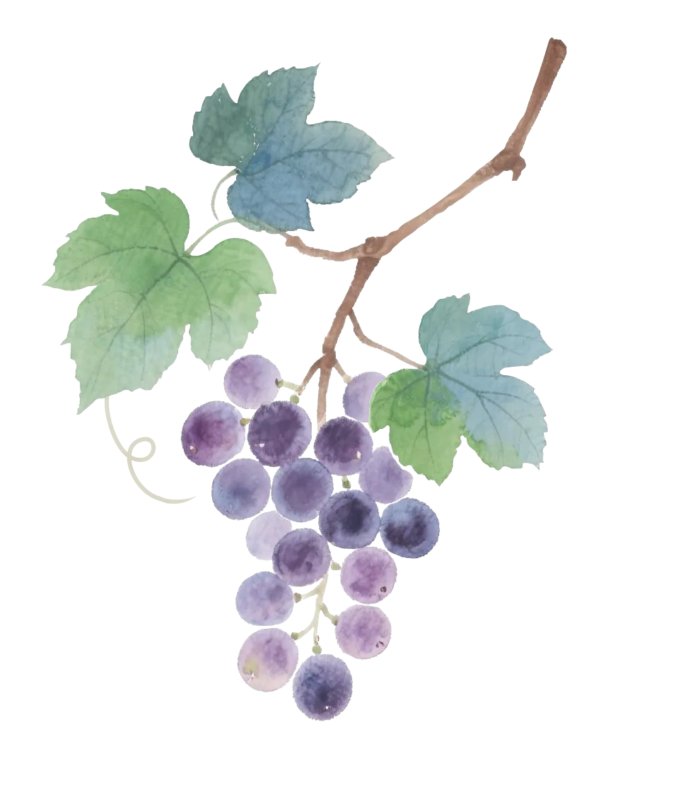 专业建设 | 葡萄酒文化与营销专业举办《毕业设计(主题酒会)》课程成果汇报暨2026届毕业酒会