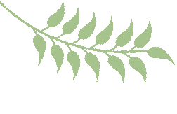 工商管理学院心连心对话成长困惑22营销2班(Z)班导师见面会圆满举行