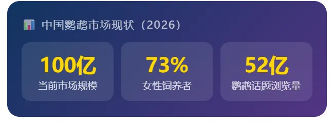 养鹦鹉的竟然73%是女生?一个百亿市场背后,藏着你不知道的6个真相