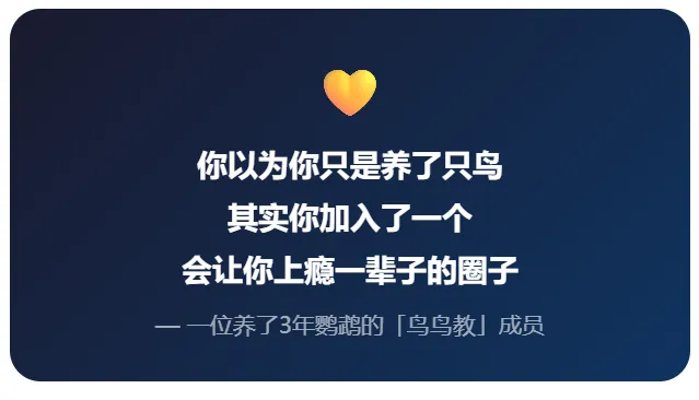 养鹦鹉的竟然73%是女生?一个百亿市场背后,藏着你不知道的6个真相