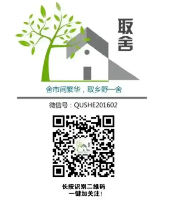 养鹦鹉的竟然73%是女生?一个百亿市场背后,藏着你不知道的6个真相