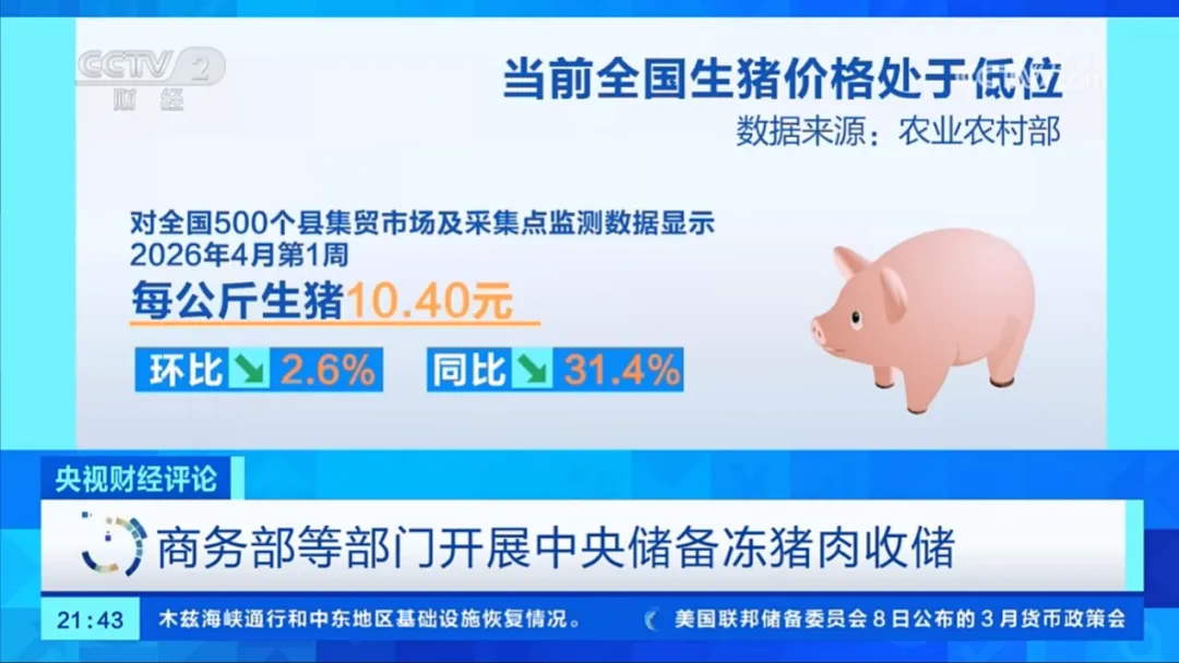 精读|生猪市场众说纷纭,央视给了养猪人一份透彻的猪市分析:猪价跌至新低,如何应对?