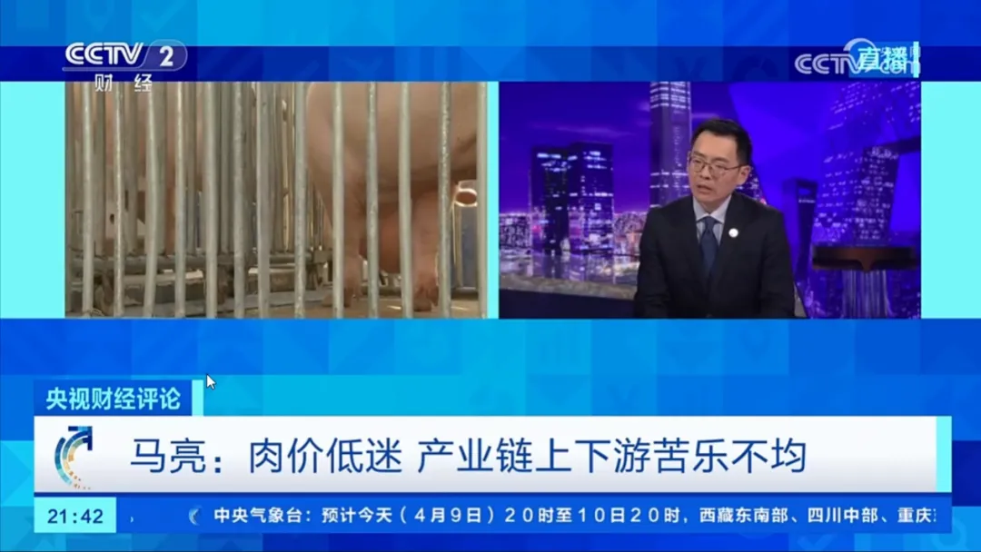 精读|生猪市场众说纷纭,央视给了养猪人一份透彻的猪市分析:猪价跌至新低,如何应对?