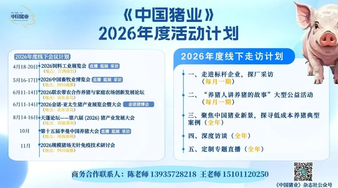 精读|生猪市场众说纷纭,央视给了养猪人一份透彻的猪市分析:猪价跌至新低,如何应对?