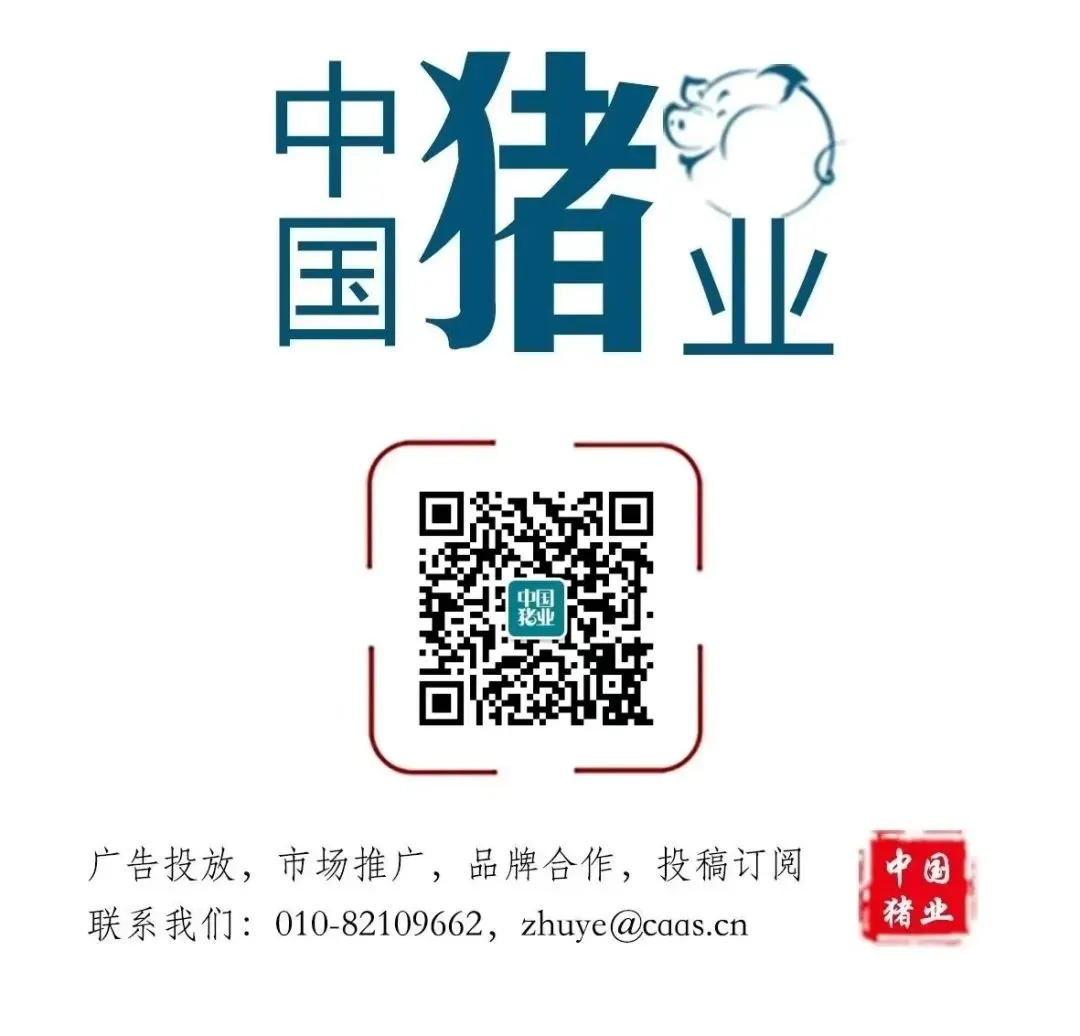 精读|生猪市场众说纷纭,央视给了养猪人一份透彻的猪市分析:猪价跌至新低,如何应对?