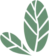 工模19th丨探索无限乐趣,工模市场等你来!