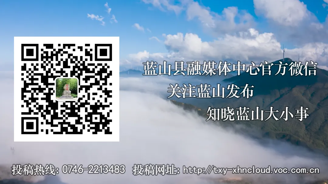 曾艺调研房地产市场工作