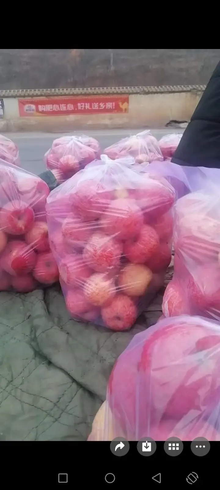 陇南都市网二手市场:私家货车、苹果、电动车等超值推荐!