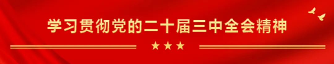 右江区市场监管局:高效维权暖民心经营户专赠锦旗