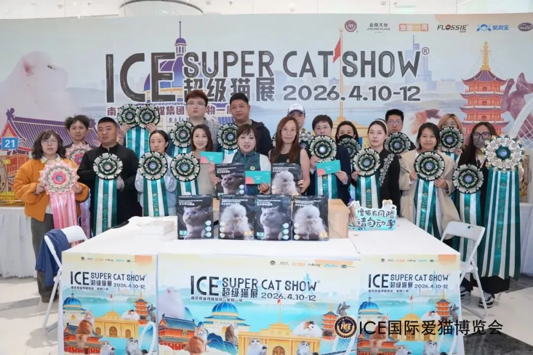 谁说南京市场不好?这场比赛,让我们看到了猫赛的魂!